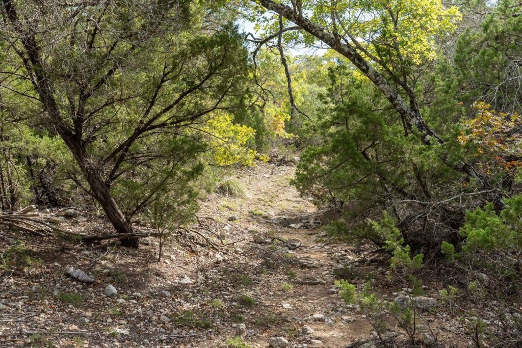 249-acres Miranda Ridge Boerne, TX 78006 - Photo 24 of 34
