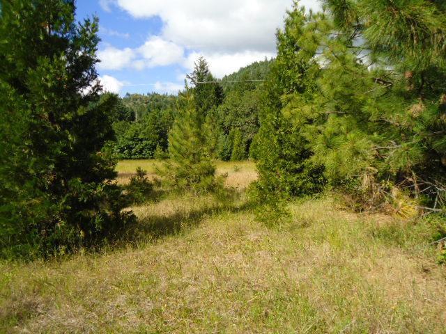 795 Thompson Creek Road Selma, OR 97538 - Photo 6 of 8 Additional Photo