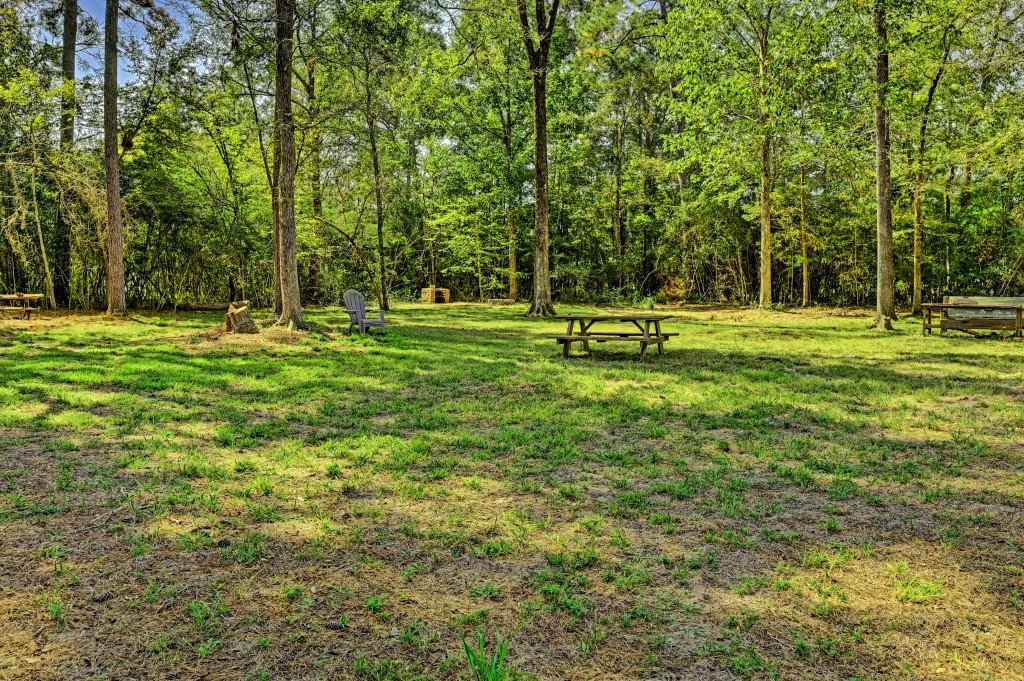 Tbd Bryan Lane Willis, TX 77378 - Photo 12 of 45