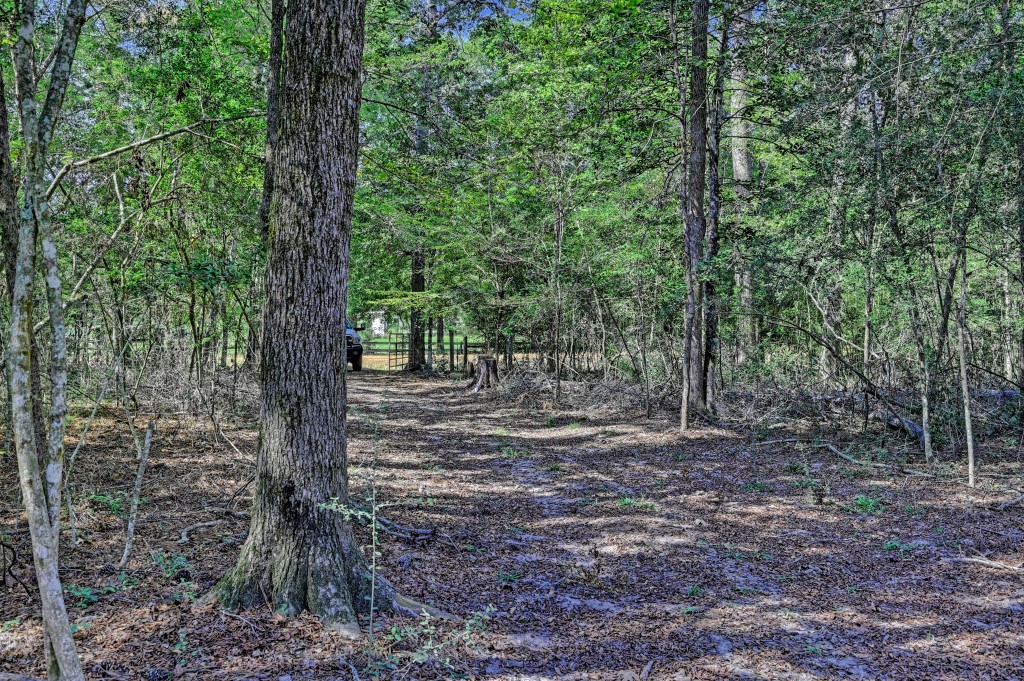 Tbd Bryan Lane Willis, TX 77378 - Photo 13 of 45