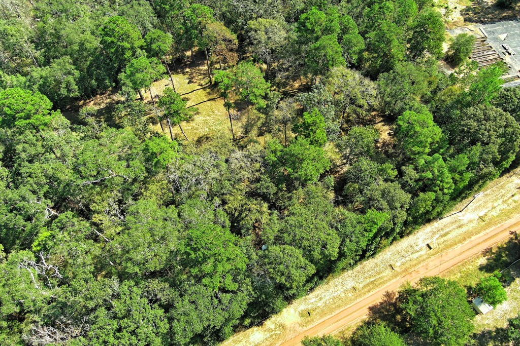 Tbd Bryan Lane Willis, TX 77378 - Photo 14 of 45