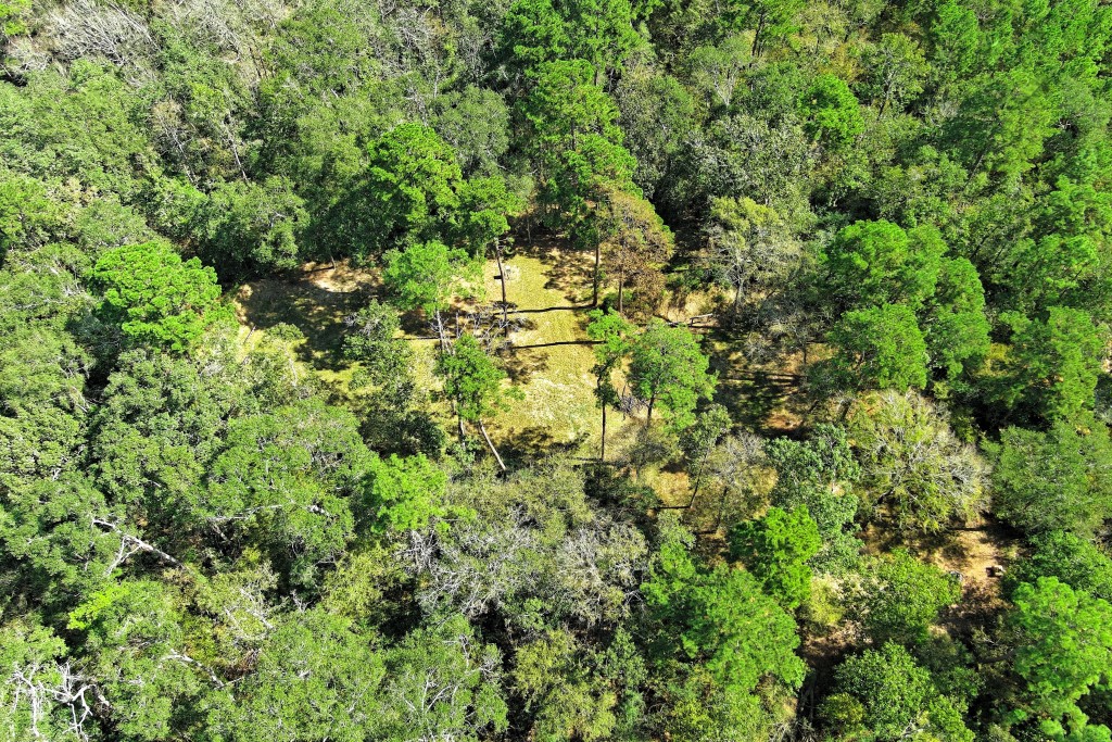 Tbd Bryan Lane Willis, TX 77378 - Photo 16 of 45