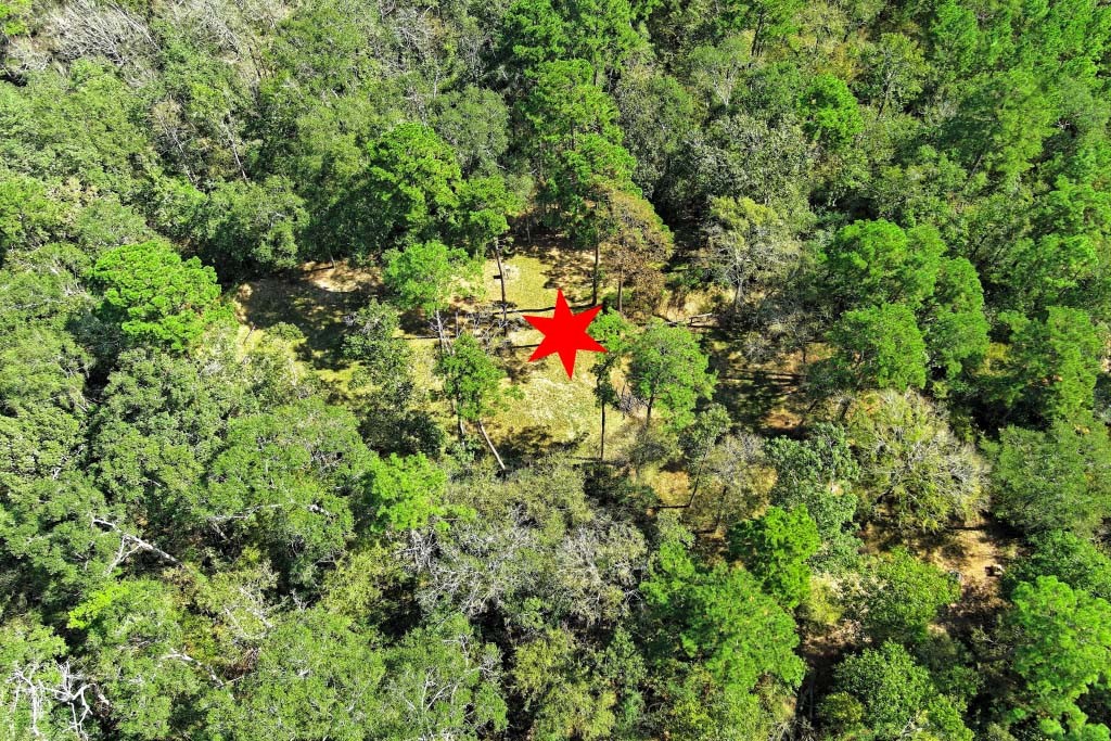 Tbd Bryan Lane Willis, TX 77378 - Photo 17 of 45