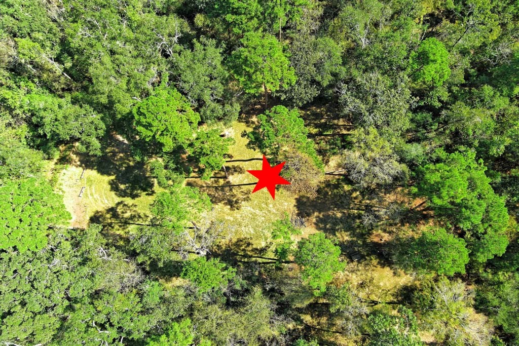 Tbd Bryan Lane Willis, TX 77378 - Photo 19 of 45