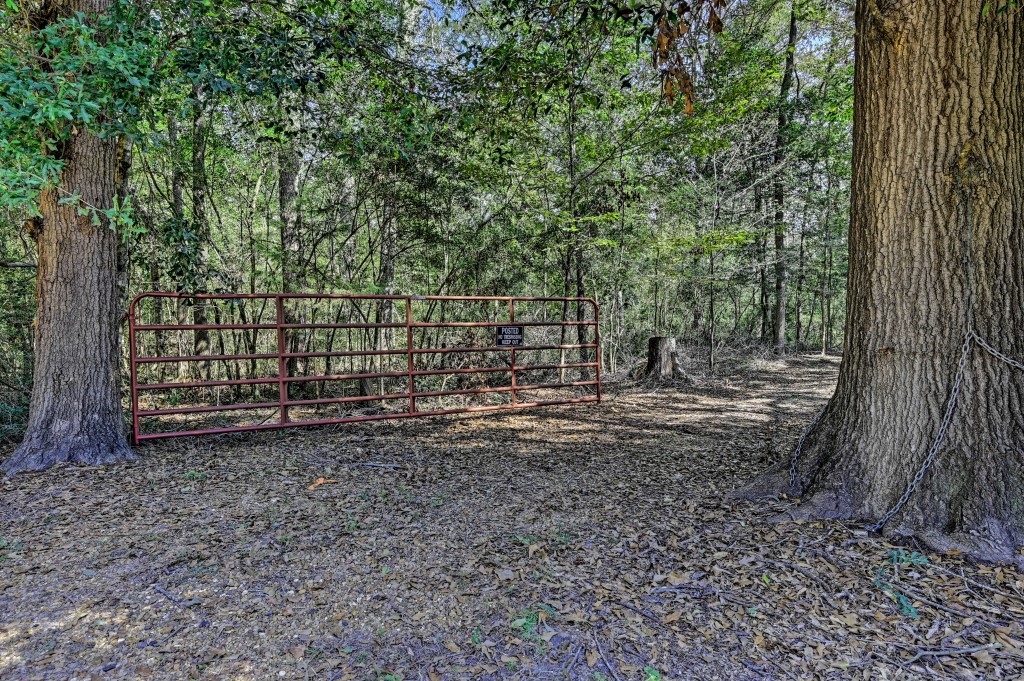 Tbd Bryan Lane Willis, TX 77378 - Photo 2 of 45