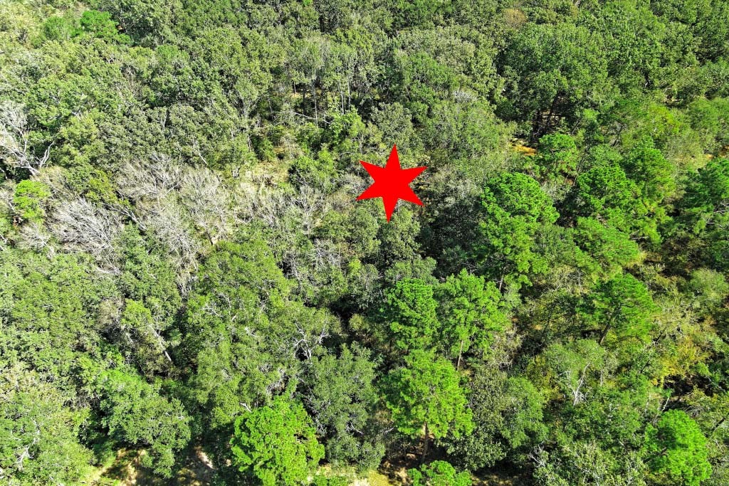 Tbd Bryan Lane Willis, TX 77378 - Photo 21 of 45