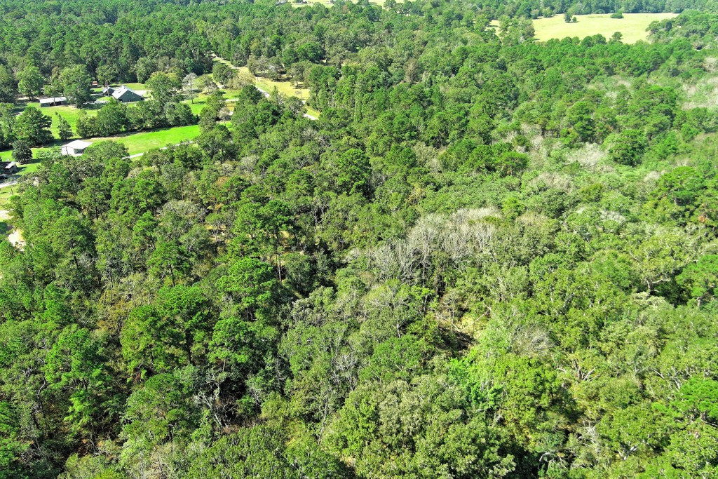 Tbd Bryan Lane Willis, TX 77378 - Photo 22 of 45