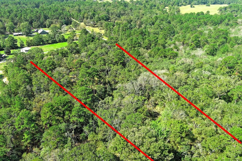 Tbd Bryan Lane Willis, TX 77378 - Photo 23 of 45