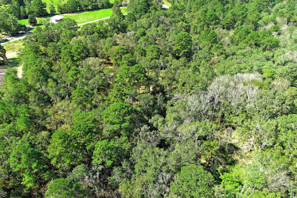 Tbd Bryan Lane Willis, TX 77378 - Photo 24 of 45