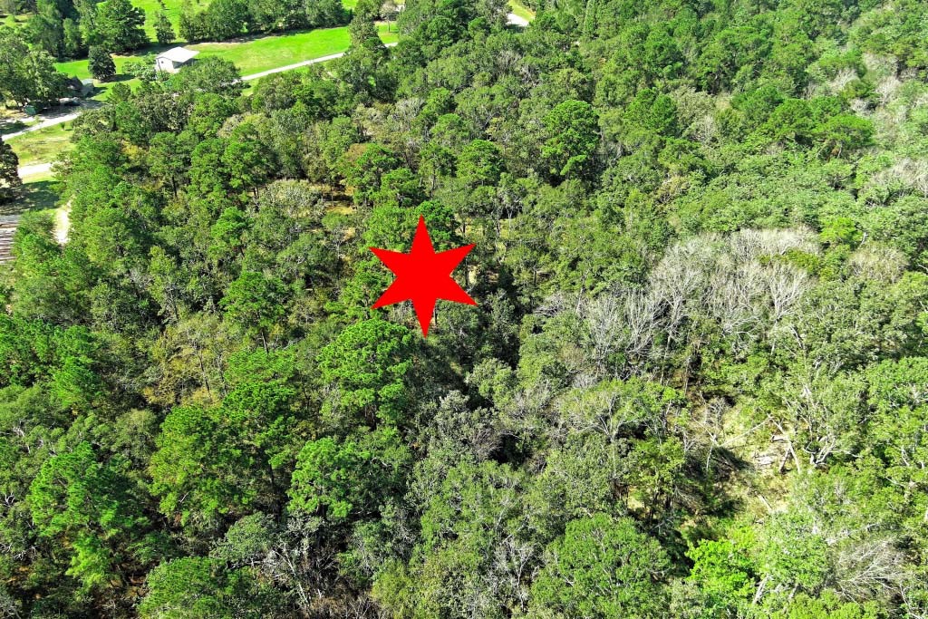 Tbd Bryan Lane Willis, TX 77378 - Photo 25 of 45