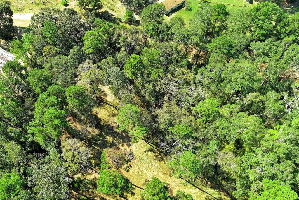 Tbd Bryan Lane Willis, TX 77378 - Photo 28 of 45