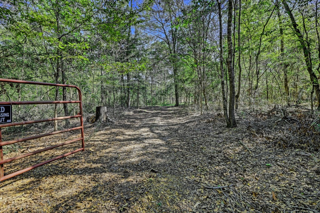 Tbd Bryan Lane Willis, TX 77378 - Photo 3 of 45