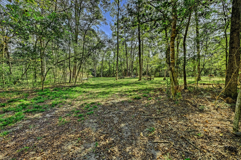 Tbd Bryan Lane Willis, TX 77378 - Photo 4 of 45