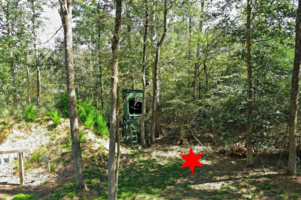 Tbd Bryan Lane Willis, TX 77378 - Photo 41 of 45