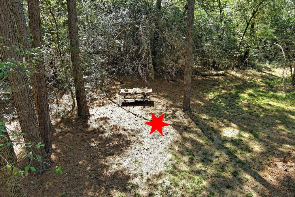 Tbd Bryan Lane Willis, TX 77378 - Photo 43 of 45