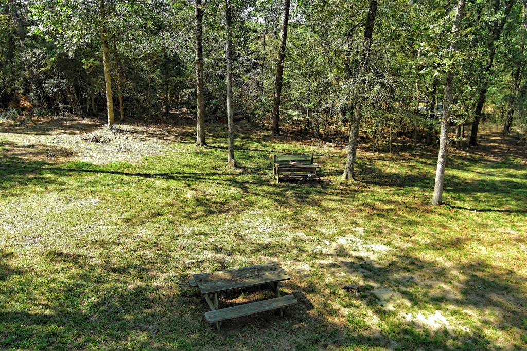 Tbd Bryan Lane Willis, TX 77378 - Photo 44 of 45