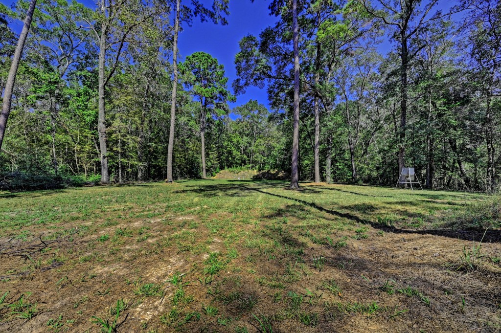 Tbd Bryan Lane Willis, TX 77378 - Photo 9 of 45