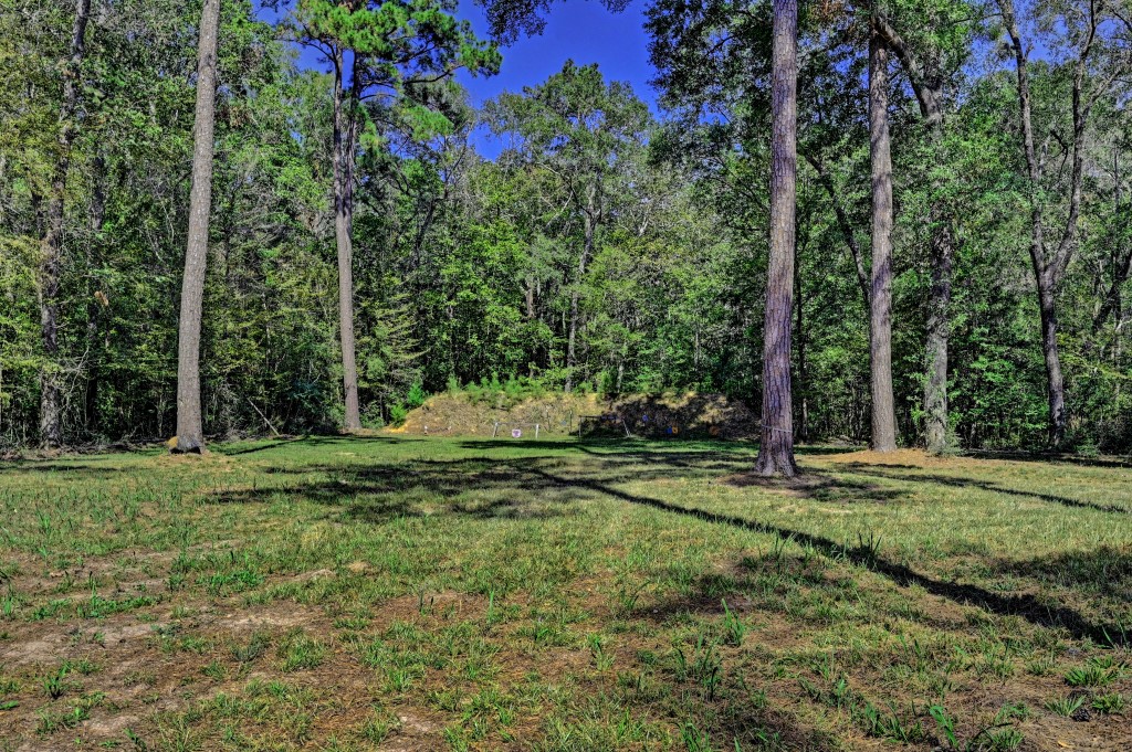 Tbd Bryan Lane Willis, TX 77378 - Photo 10 of 45