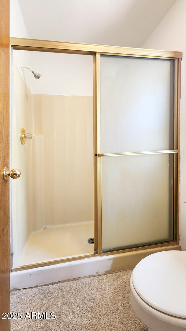 5115 Monte Vista Pine, AZ 85544 - Photo 27 of 35 a bathroom with a shower