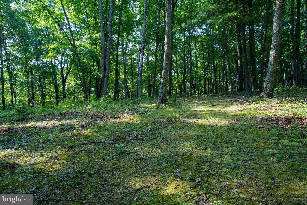 Pack Horse Road Winchester, VA 22603 - Photo 11 of 15