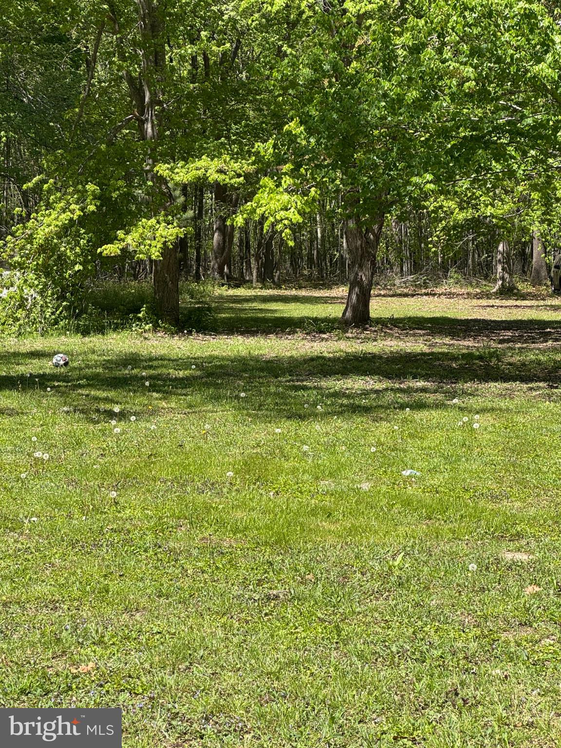 2389 White Oak Road Dover, DE 19901 - Photo 26 of 34 a garden view with a fountain