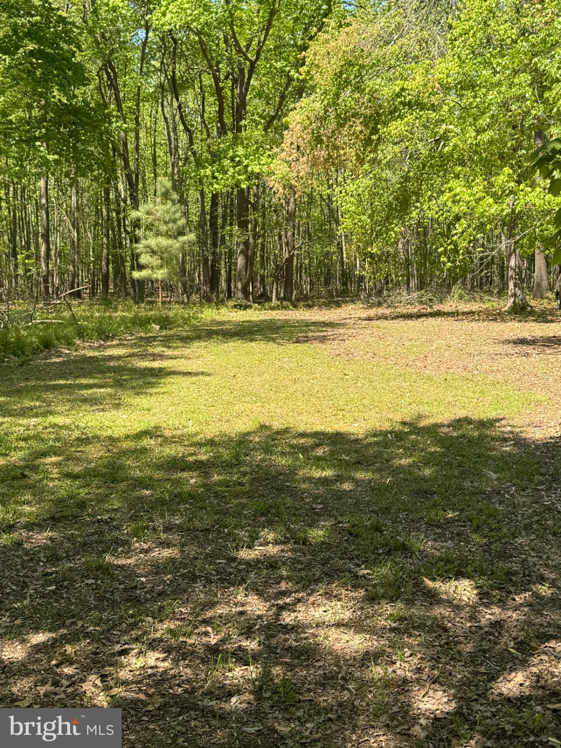 2389 White Oak Road Dover, DE 19901 - Photo 28 of 34 a view of ocean view