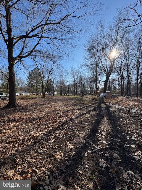 2389 White Oak Road Dover, DE 19901 - Photo 3 of 25 a backyard of a house with large trees
