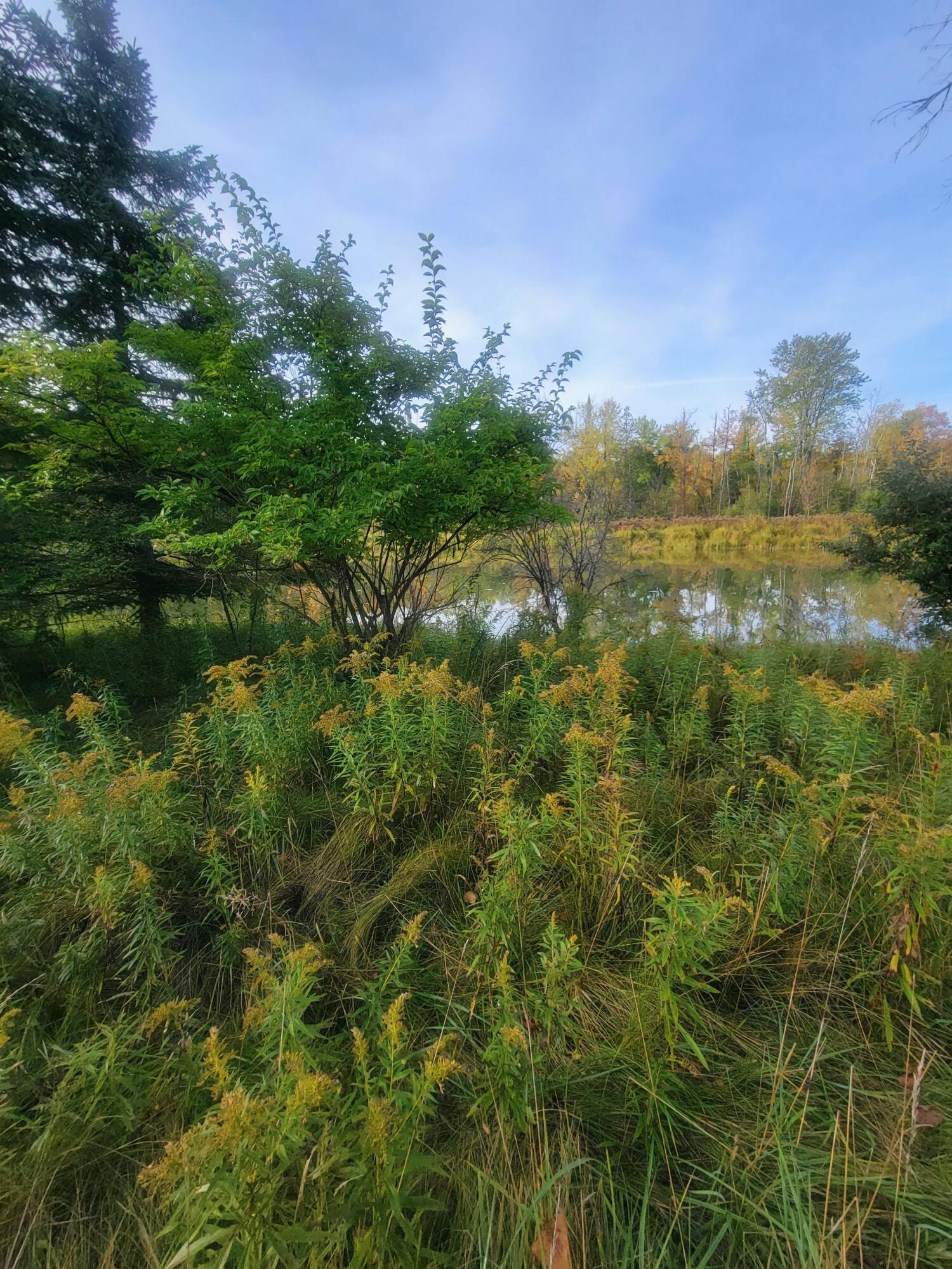 7615 Long Rapids Road Alpena, MI 49707 - Photo 25 of 27 Gallery Image 25