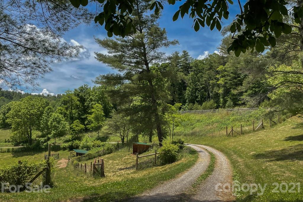 43 Don Felmet Road Leicester, NC 28748 - Photo 7 of 38 Gallery Image 7