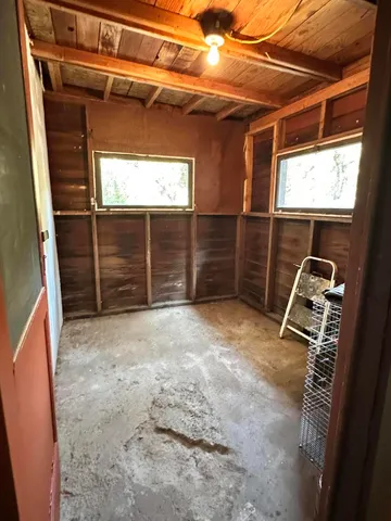 a view of a garden with plants and trees