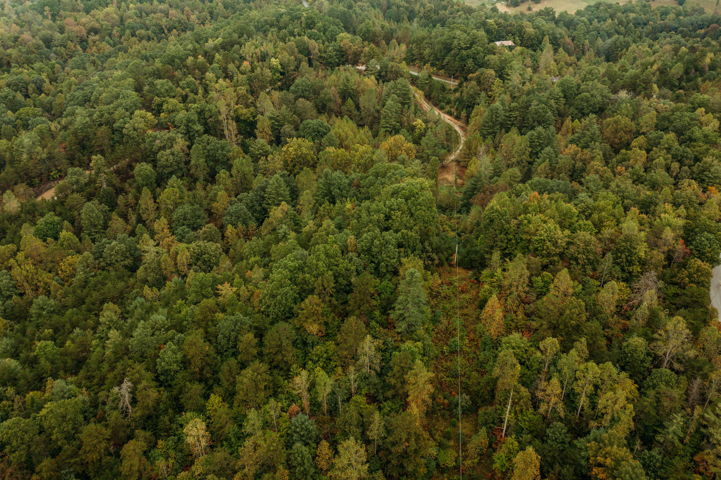 Tbd Lot 25 Tbd Road Campton, KY 41301 - Photo 17 of 17 DJI_0153