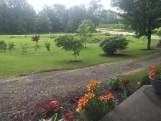 3710 West Scout Road Hart, MI 49420 - Photo 36 of 48 IMG_1180