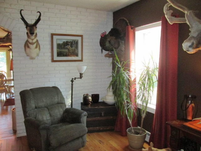3710 West Scout Road Hart, MI 49420 - Photo 6 of 48 IMG_1780