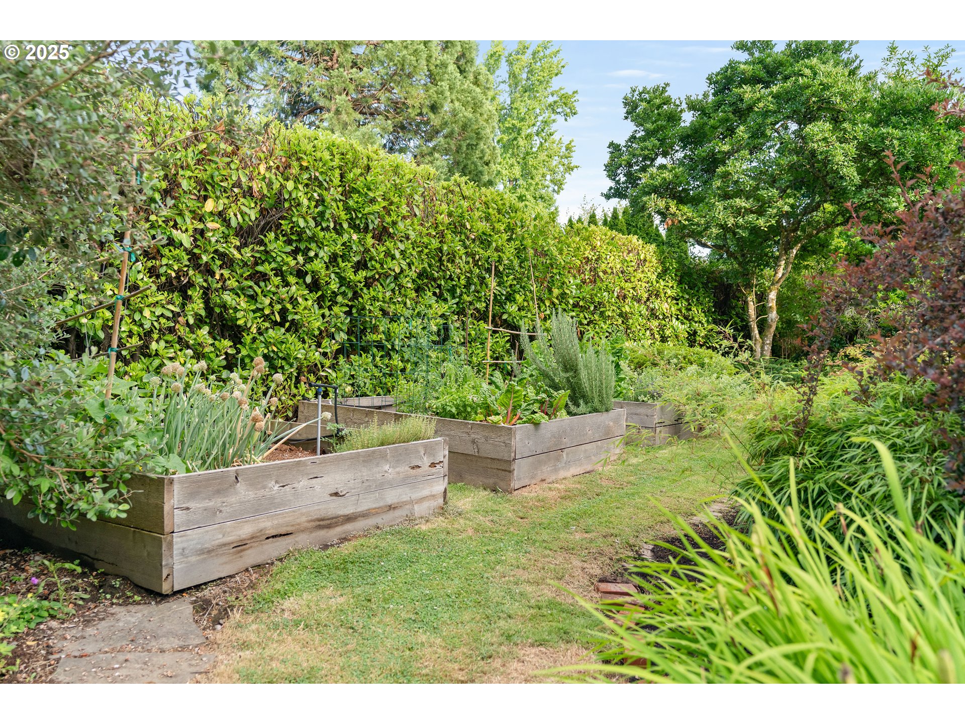 6328 Southwest Brugger Street Portland, OR 97219 - Photo 43 of 48 a backyard of a house with a yard and fountain