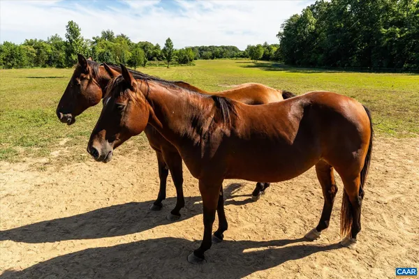 $1,049,000 | 27233 Horseshoe Road, Culpeper, VA 22701
