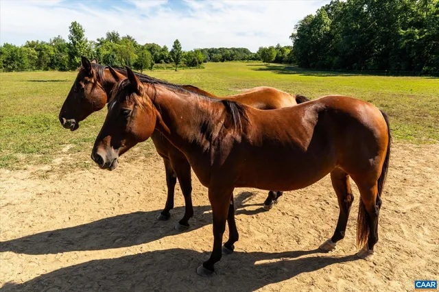 $1,125,000 | 27233 Horseshoe Road, Culpeper, VA 22701