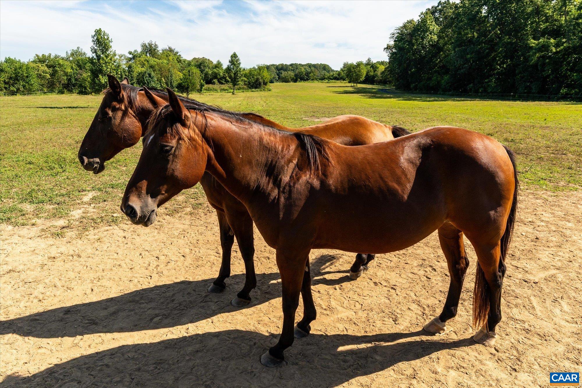 27233 Horseshoe Road Culpeper, VA 22701 - Photo 61 of 75