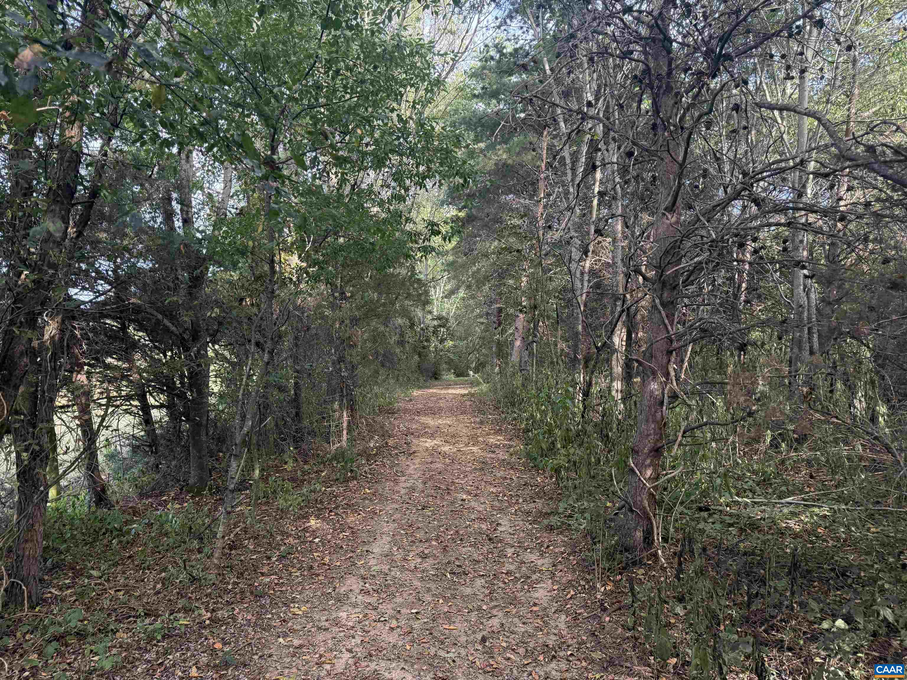 27233 Horseshoe Road Culpeper, VA 22701 - Photo 71 of 75