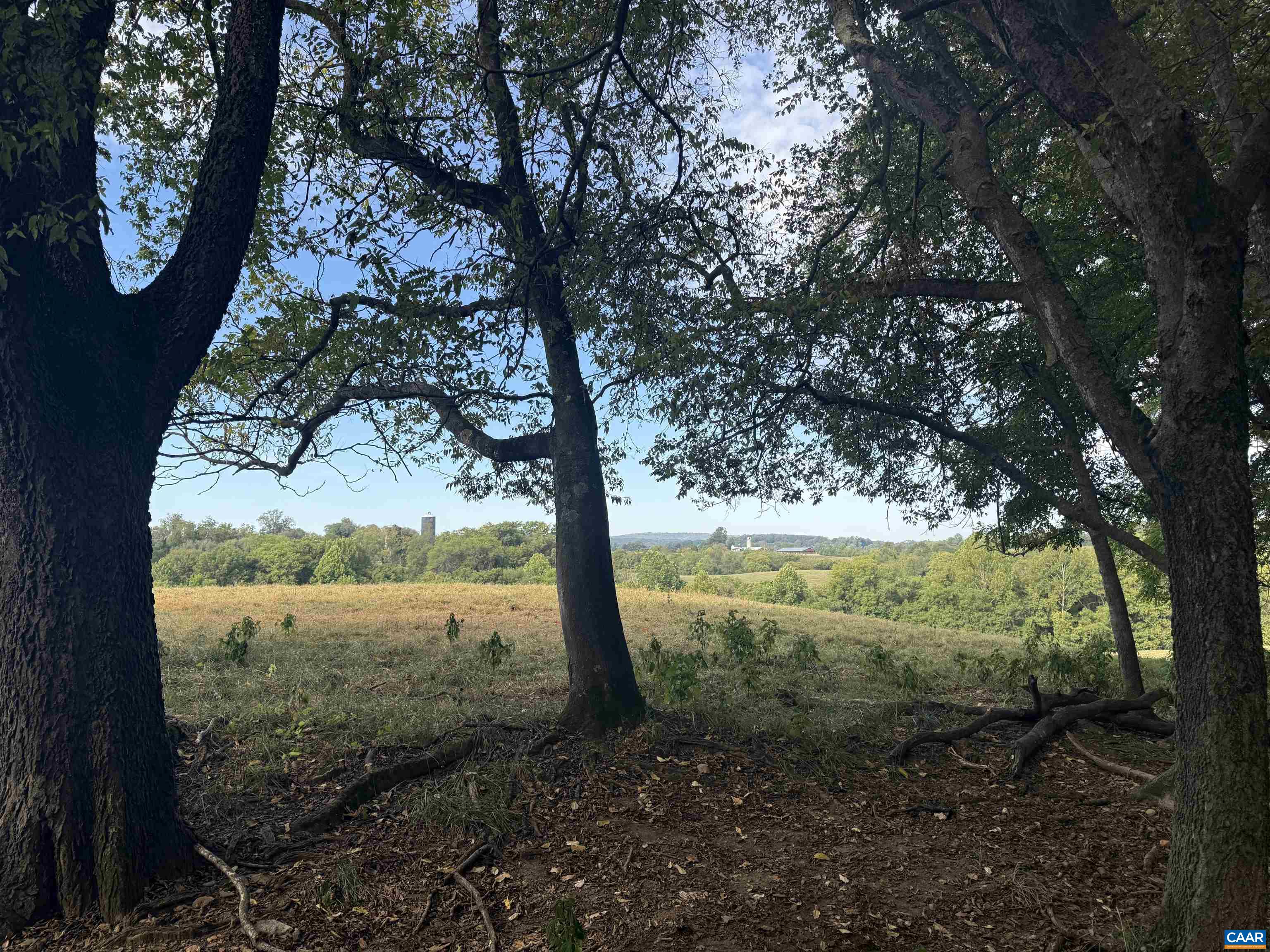 27233 Horseshoe Road Culpeper, VA 22701 - Photo 72 of 75