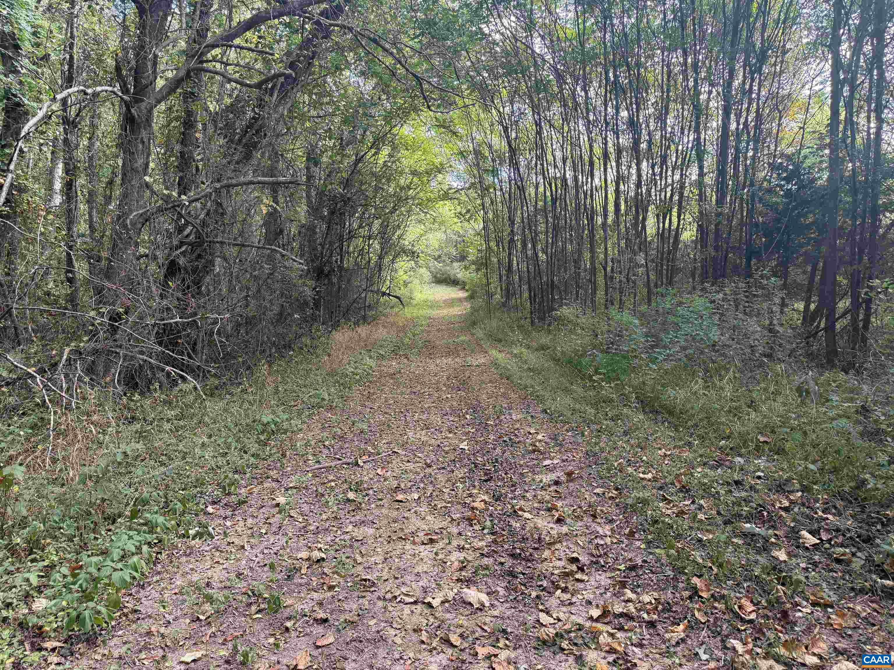 27233 Horseshoe Road Culpeper, VA 22701 - Photo 73 of 75