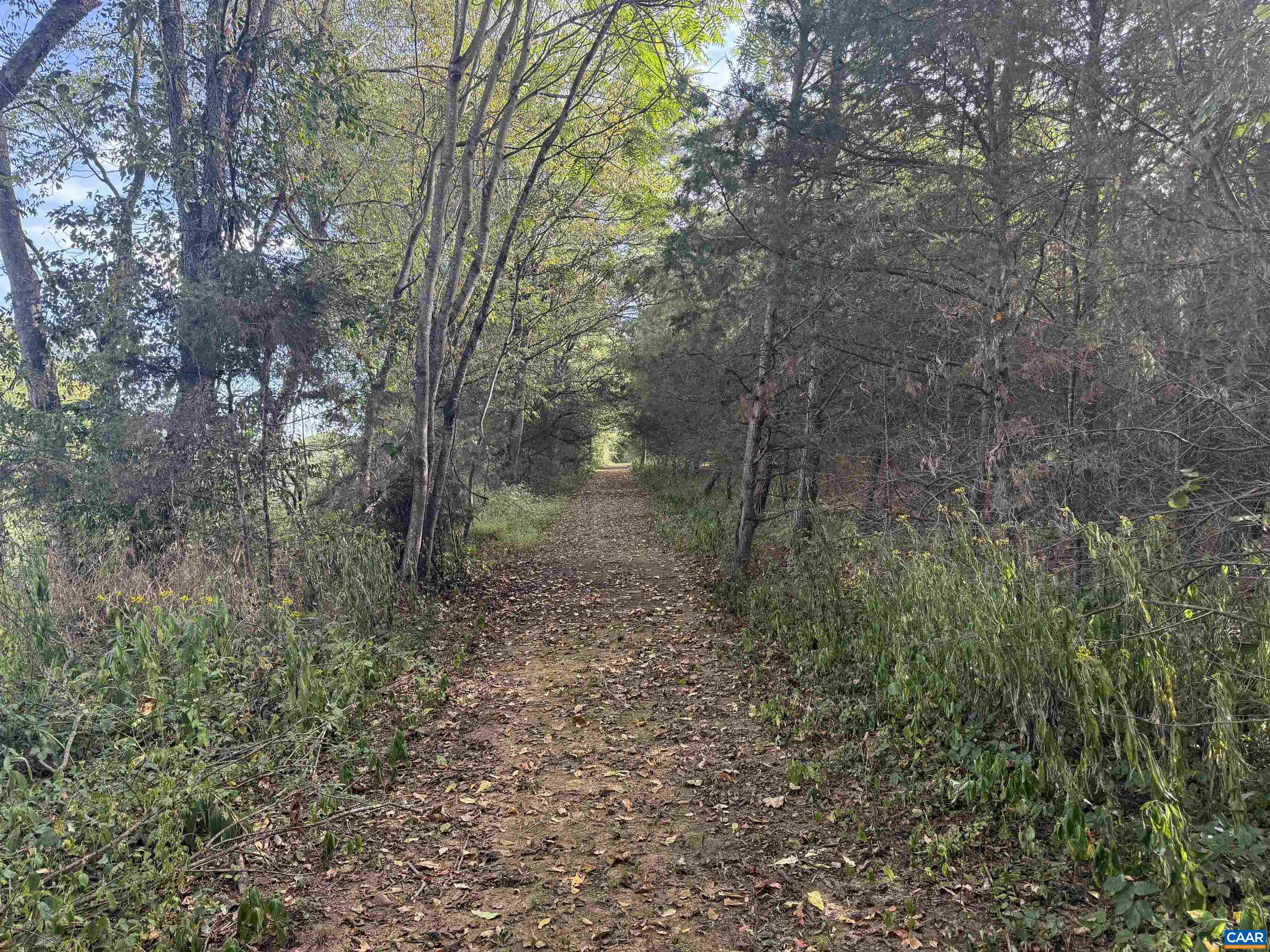 27233 Horseshoe Road Culpeper, VA 22701 - Photo 74 of 75