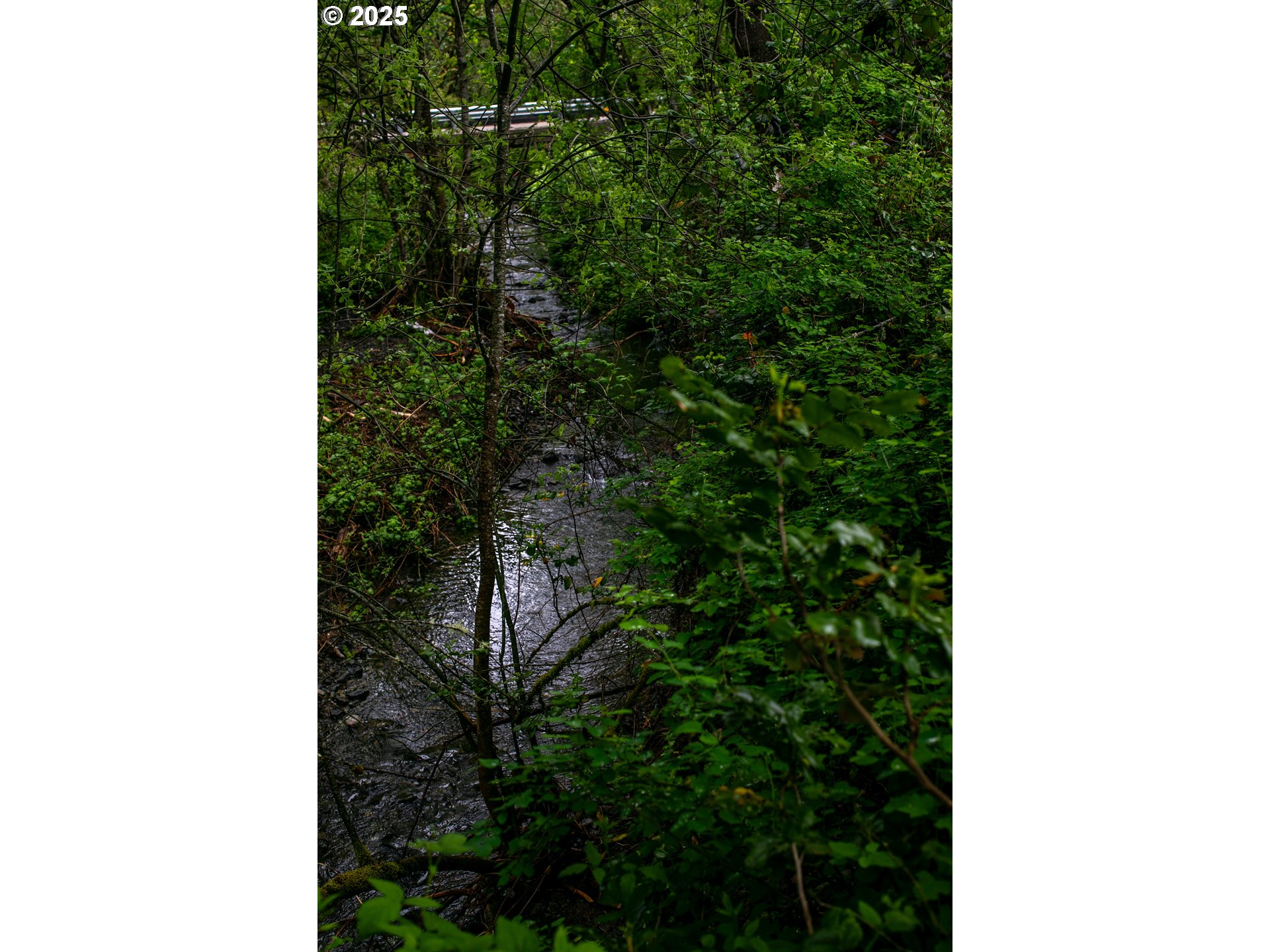 2661 Wards Creek Road Rogue River, OR 97537 - Photo 3 of 8