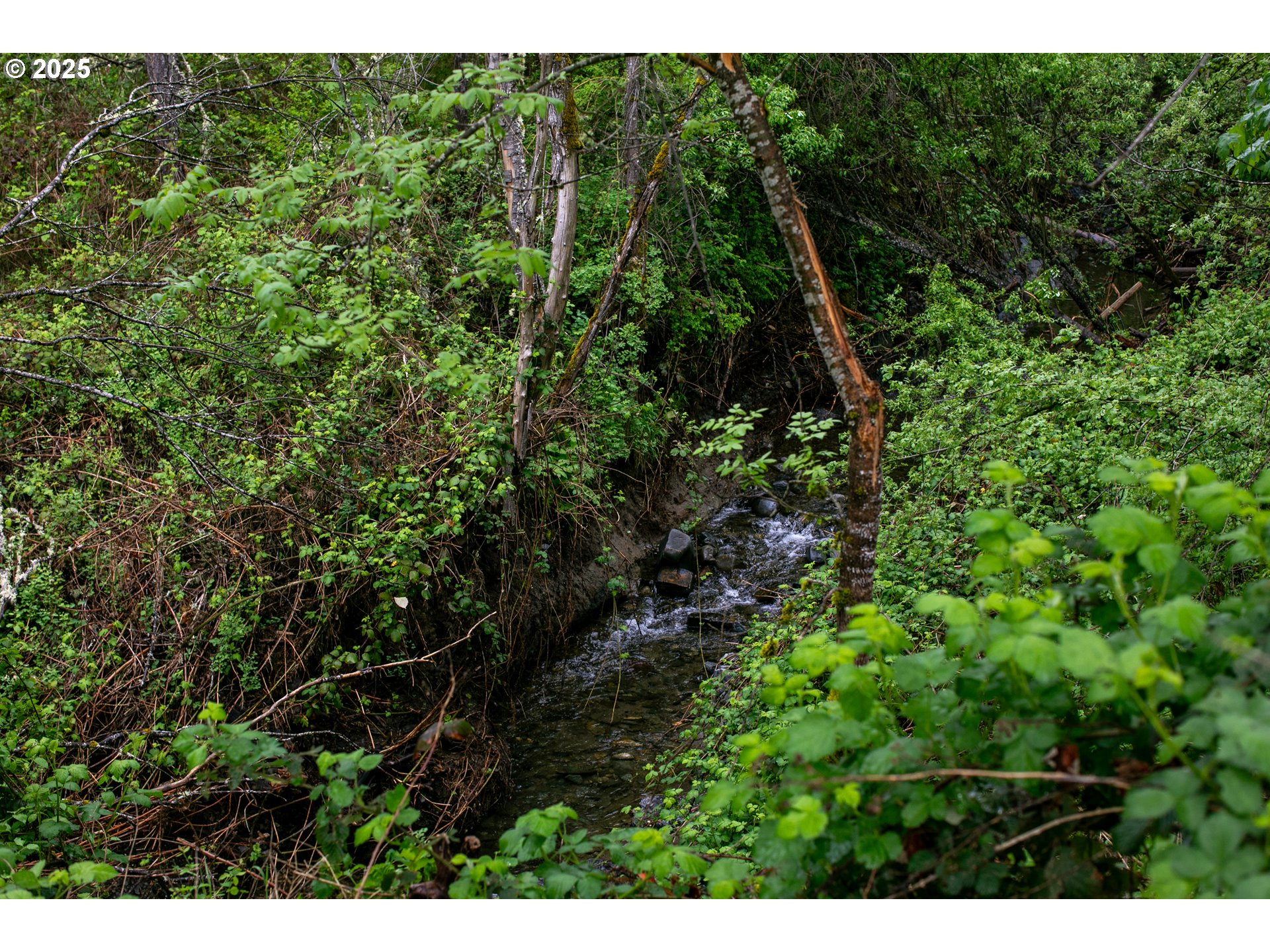 2661 Wards Creek Road Rogue River, OR 97537 - Photo 4 of 8