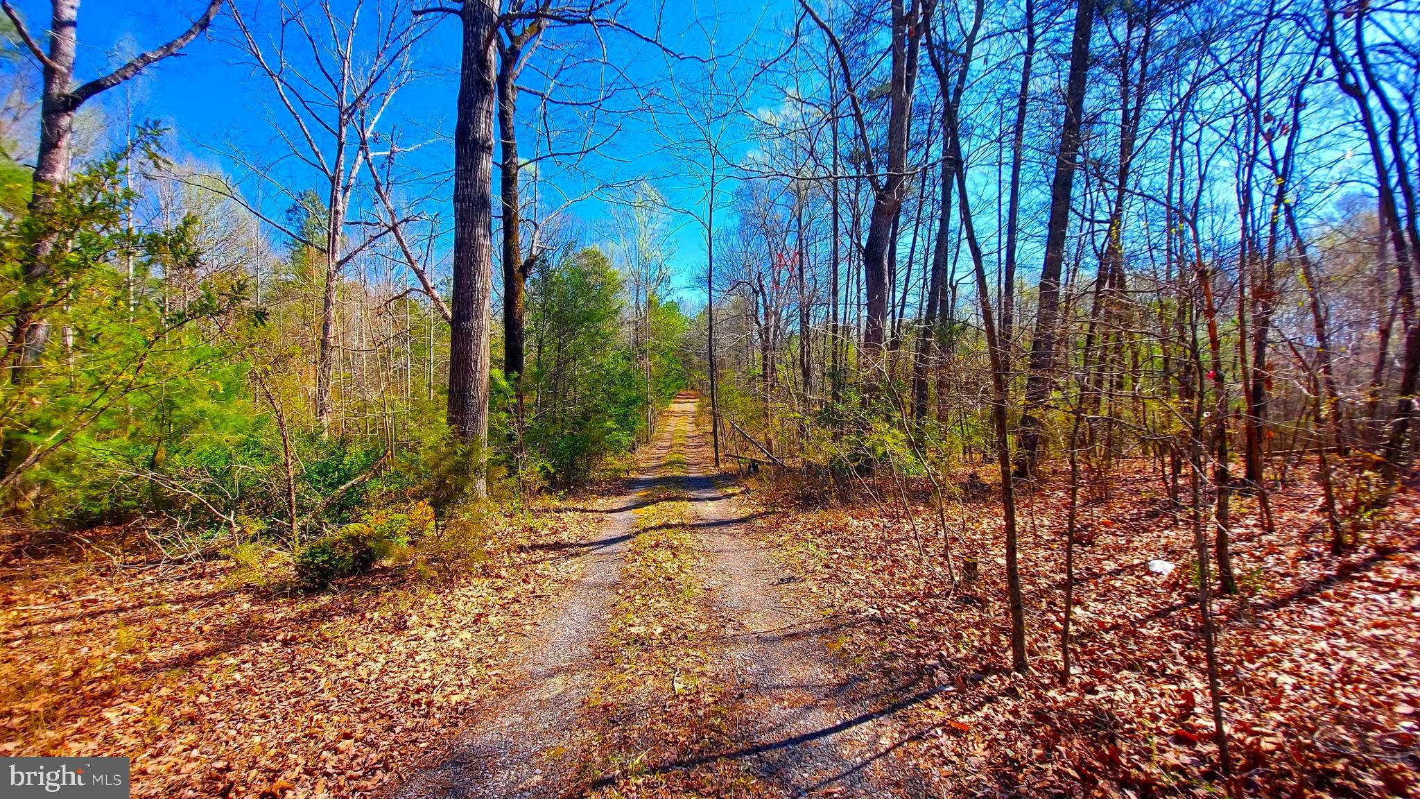 32075 Zoar Road Locust Grove, VA 22508 - Photo 1 of 7 Gallery Image 1