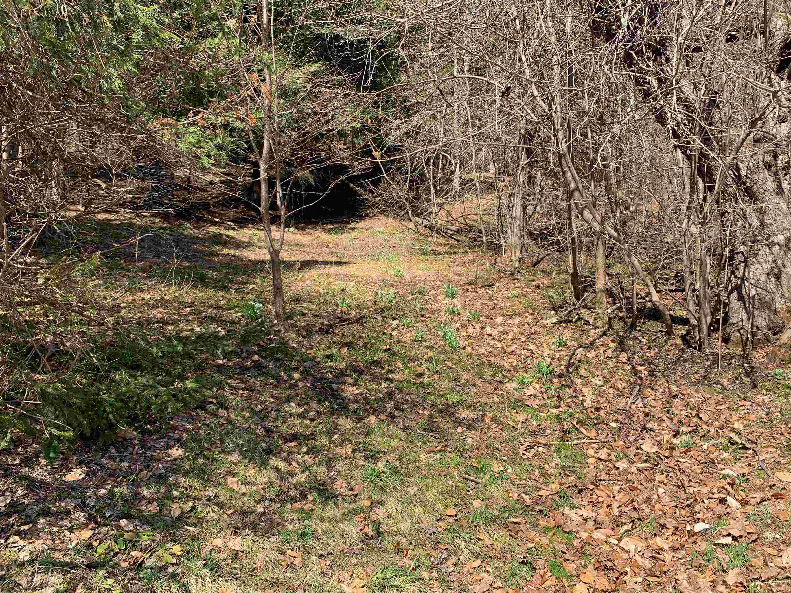 1906 S Road Woodstock, VT 05091 - Photo 29 of 33