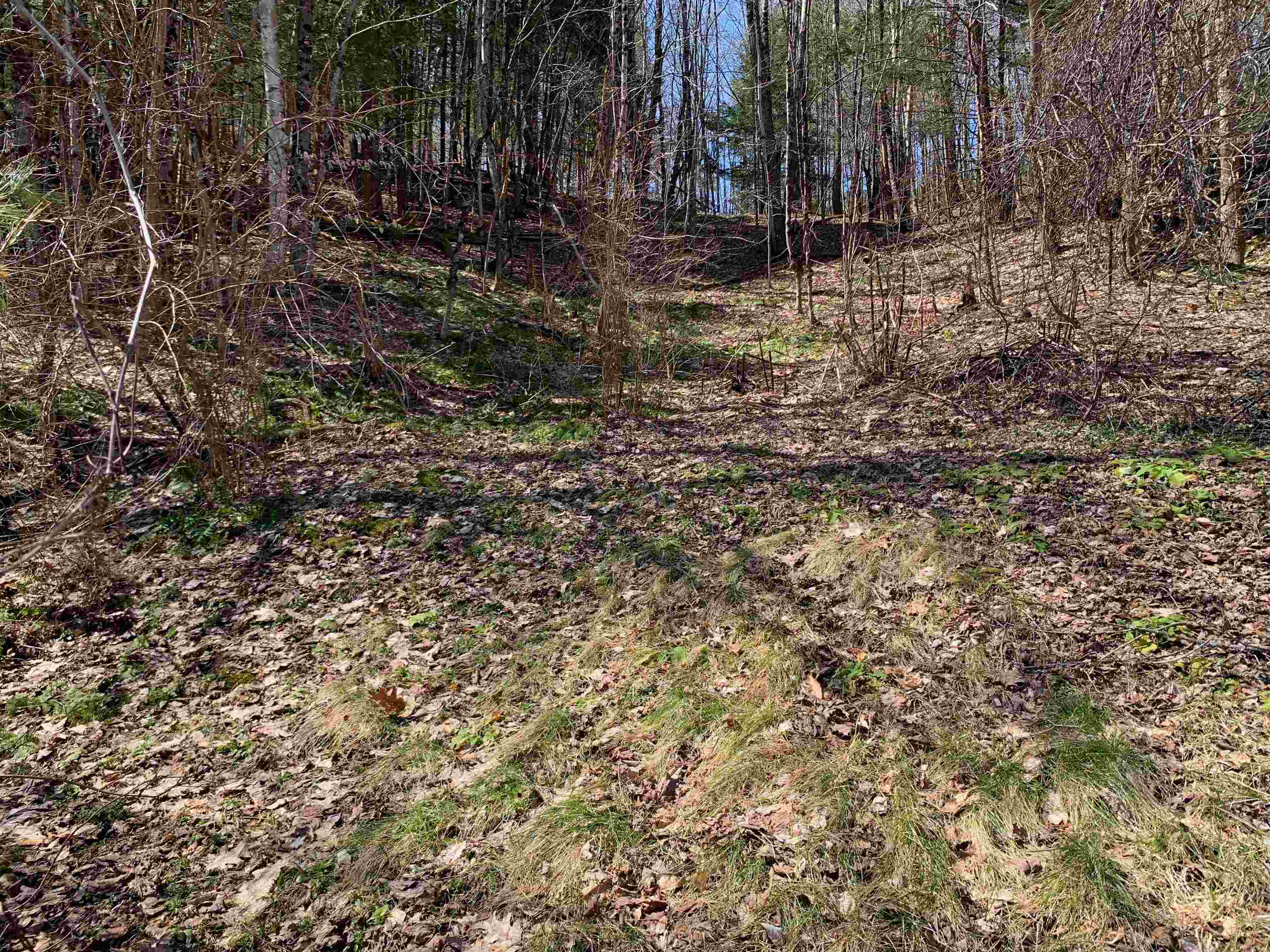 1906 S Road Woodstock, VT 05091 - Photo 32 of 33