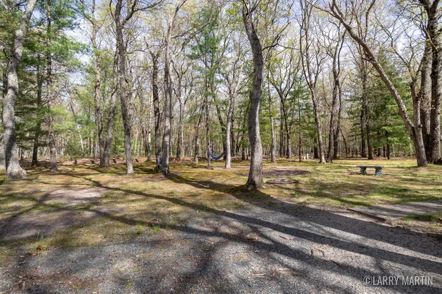 $380,000 | 10273 Basford Lk Drive, Baldwin, MI 49304