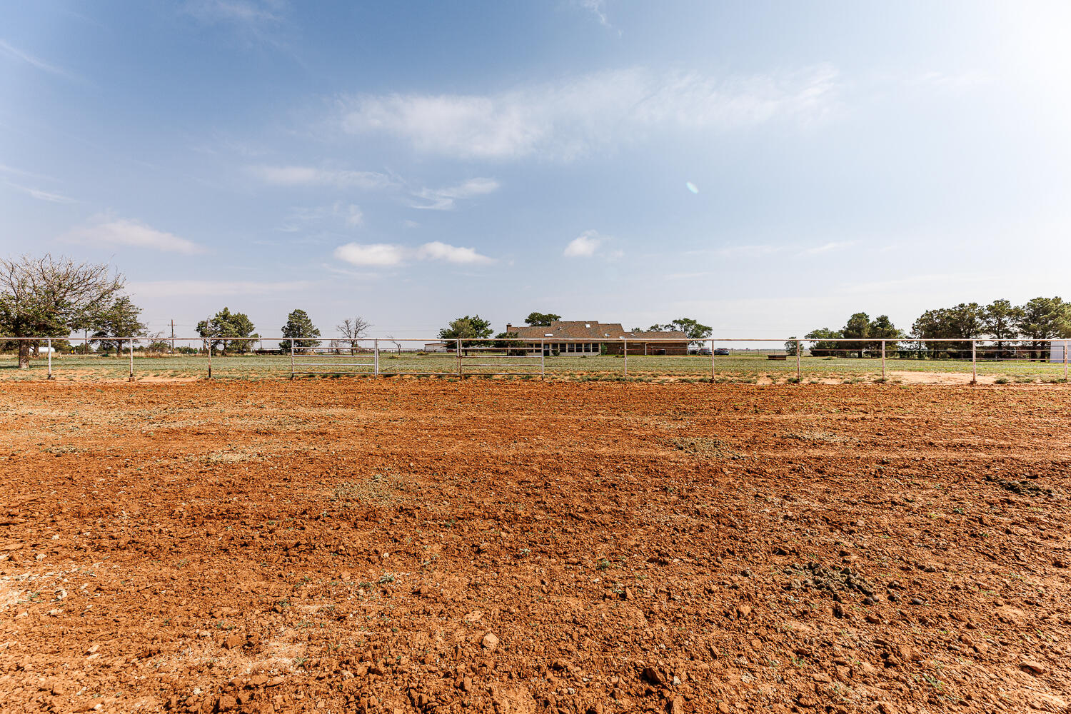 10025 Woodrow Road Ropesville, TX 79358 - Photo 57 of 78 Pasture