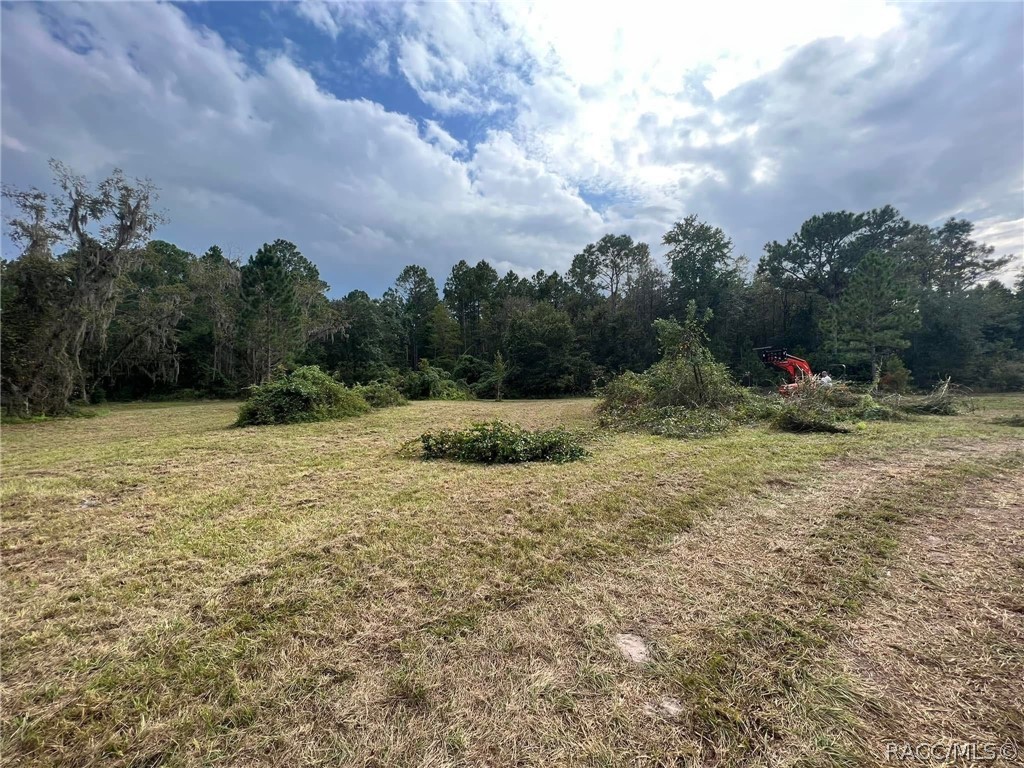 1475 Northeast Rd Gainesville Road Gainesville, FL 32609 - Photo 7 of 8 Gallery Image 7
