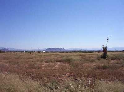 0 Pine & Ripley Pearce Az 85625 Pearce, AZ 85625 - Photo 1 of 2